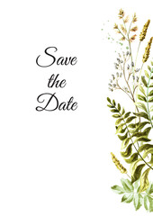 Wild  grasses and  wildflowers  . Color Summer rural composition, bouquet, decor concept. Hand drawn watercolor illustration isolated on white background