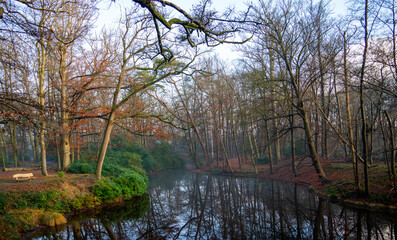Fototapeta na wymiar Large pond in the forest on a winter day 