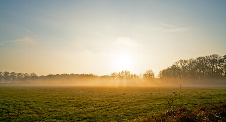 Landscape with rimed meadow on a foggy winter day
