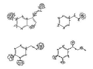 Set of molecular formula with flowers. Collection of happiness moleculesserotonin, dopamine, and caffeine. Mental health. Vector illustration isolated on white background. Design for printing.