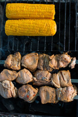 fried corn and meat on the fire. dinner in nature