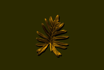 Single gold leaf of philodendron xanadu isolated on dark pea green background for design or decoration advertising product, tropical plant, flat lay, beautiful nature of thaumatophyllum xanadu leaves