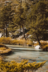 Fototapeta premium vertical landscape with river and forest