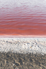 Pink salty Lake. Sasyk-Syvash, Crimea. Unique nature phenomenon.