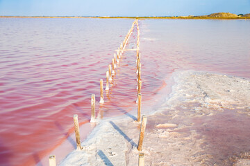 Pink salty Lake. Sasyk-Syvash, Crimea. Unique nature phenomenon.