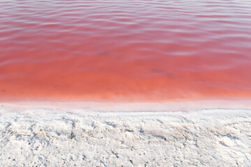 Fototapeta na wymiar Pink salty Lake. Sasyk-Syvash, Crimea. Unique nature phenomenon.