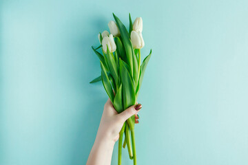 Female hands hold bouquet of tulips on blue background.
