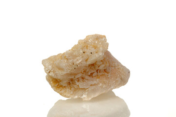macro mineral stone Amphibolite in quartz on a white background