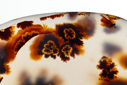 Macro mineral stone Moss Agate, Agate muschiataan white