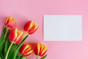 Fresh tulips bouquet and greeting card on pink background. Happy easter.