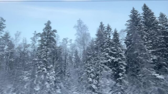 View of the winter forest landscape from the window of a moving train during a snowstorm with parallax effect