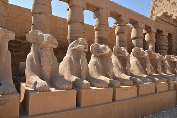 The Karnak Temple Complex and sphinx statues.