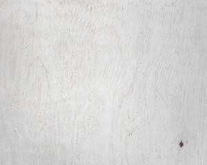 texture of Eucalyptus tree bark