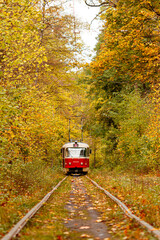 Fototapeta na wymiar Autumn forest through which an old tram rides (Ukraine)