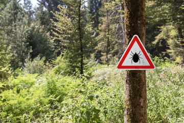 Tick insect warning sign in nature forest. Danger of Lyme disease, Borrelia and Meningitis.