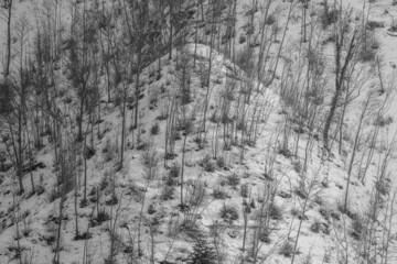 Fototapeta premium view of a snow-capped mountain with autumn colors as well