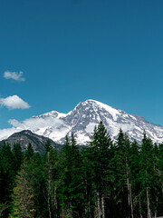 mount hood state