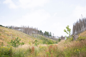 panorama of the mountains