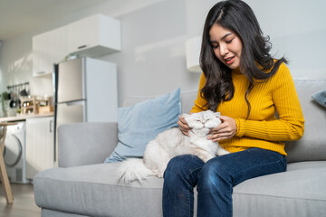 Asian woman holding and play with little cat with happiness at home. 