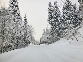 Obraz premium 一面雪に覆われた山道