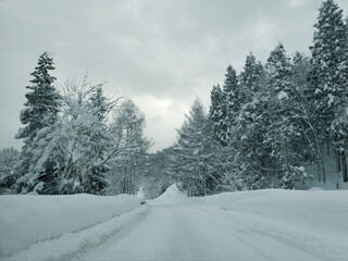 一面雪に覆われた山道