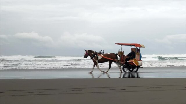 The horse carriage can be seen from a distance driving on the beach