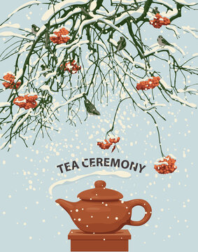 A beautiful winter landscape with the inscription Tea ceremony. Vector illustration with a brown teapot, snow-covered branches and red clusters of mountain ash and a flock of small frozen sparrows