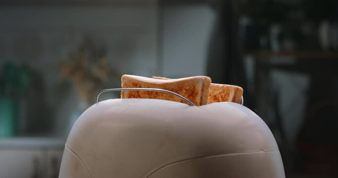 Close up of sliced roasted white bread popping from electric toaster. Kitchen utensils used for cooking balanced breakfast 4k footage