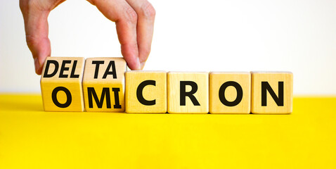 Covid-19 omicron or deltacron symbol. Doctor turns cubes and changes the word omicron to deltacron. Beautiful white background. Medical, covid-19 corona omicron or deltacron concept. Copy space.
