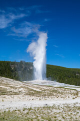 Old faithful geyser erupting in summer, Yellowstone National Park Wyoming hot springs.