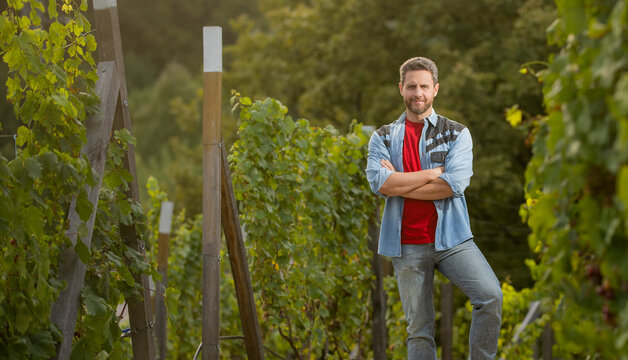 vineyard owner standing at winery among grape farm, copy space, winemaker