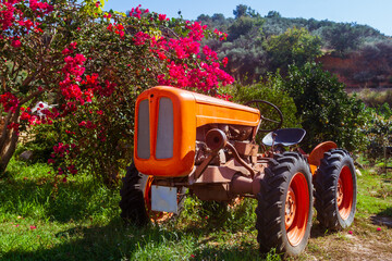 Historischer Traktor für die Olivenernte auf Kreta, Griechenland