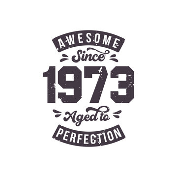 Born in 1973 Awesome Retro Vintage Birthday, Awesome since 1973 Aged to Perfection