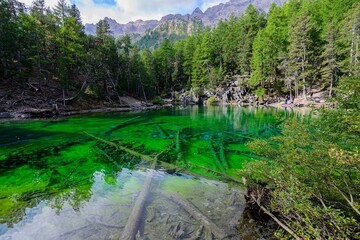 Lago verde Bardonecchia