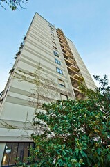 Palazzo con pianta rampicante