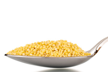 Uncooked organic millet groats with metal spoon, close-up, isolated on white.