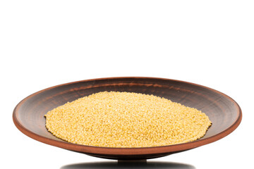 Uncooked organic millet groats on a clay dish, close-up, isolated on white.