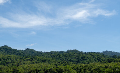 Fototapeta na wymiar The tropical forest range near the edge of the national park.