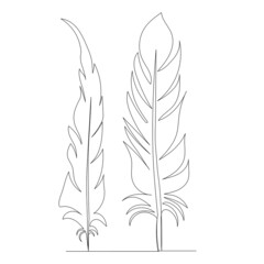 bird feather sketch one line drawing,vector