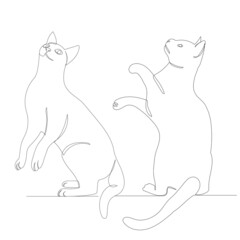 cats sketch one line drawing,vector