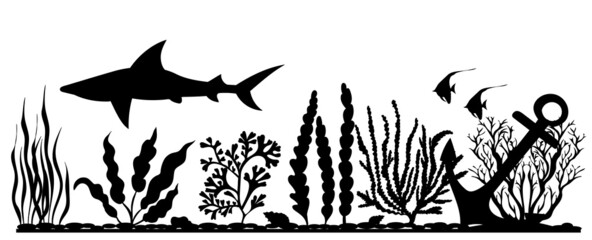 bottom of the sea, algae, fish silhouette on a white background, vector