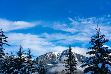 Snowy mountains landscape. Snowy pine forest. winter photography