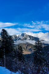 Snowy mountains landscape. Snowy pine forest. winter photography