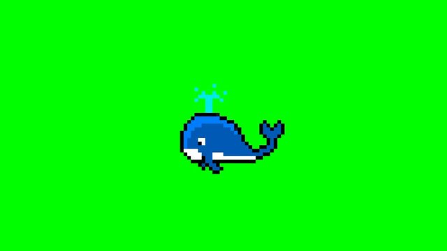 blue whale pixel art on green screen 2d animation