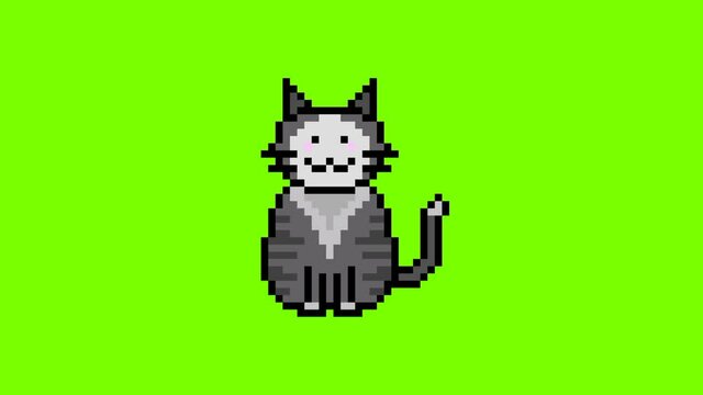 Cute fat cat pixel art on green screen animation