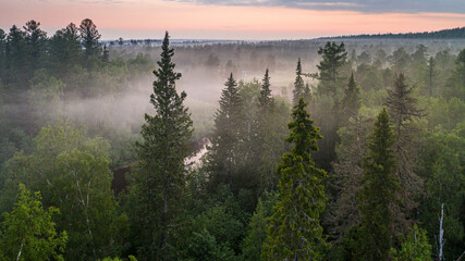 Obraz premium foggy morning in the taiga