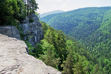 Fototapeta na wymiar View from cliff in Slovak Paradise