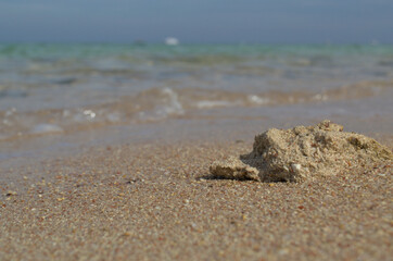 Fototapeta na wymiar Sandy wild beach of the Red Sea. 