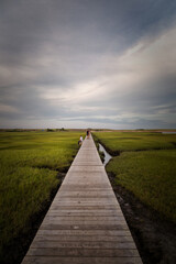 Obraz premium Beautiful Sunset in Cape Cod, Massachusetts
