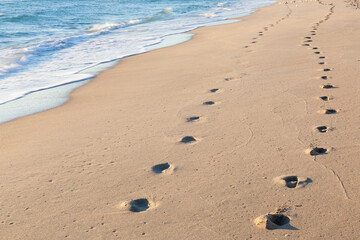 Jogger footprints along the beach shoreline in the early morning
